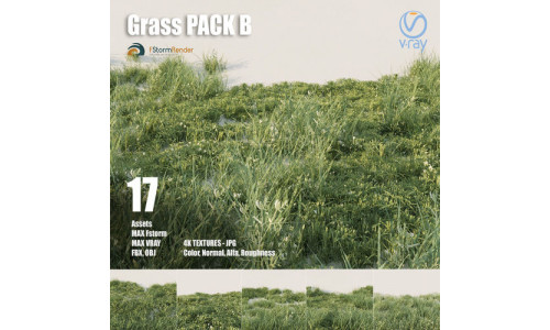 Grass pack B Low-poly 3D model