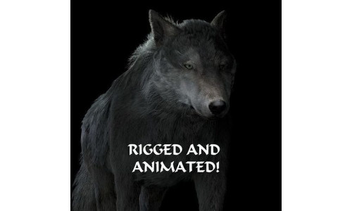 Grey wolf rigged and animated and polar light 3D model