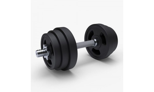 Gym Dumbbell Weight 3D model
