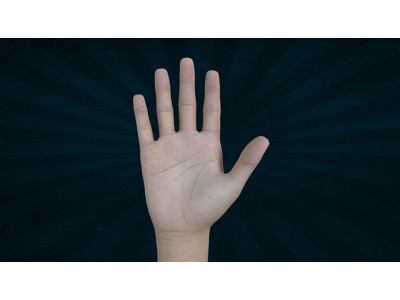 HAND-006 Rigged Right Hand Low-poly 3D model