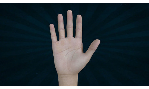 HAND-006 Rigged Right Hand Low-poly 3D model