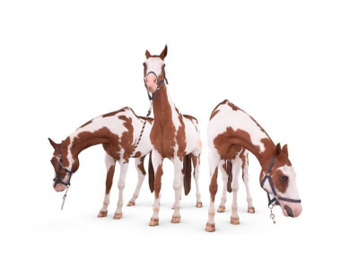 Horse 3D model