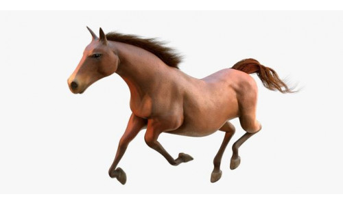 Horse Animated Low-poly 3D model