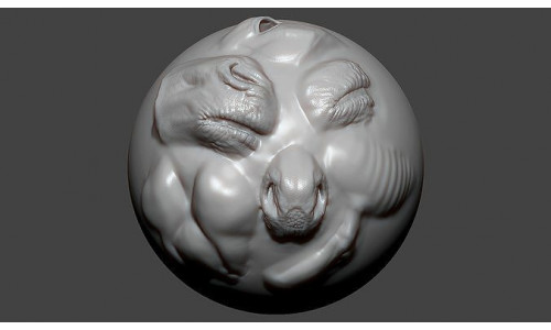 Horse Foal ZBrush VDM Brush 3D model