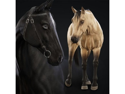 Horse Herd - Low poly animated game-ready Horse and  control rig Low-poly 3D model