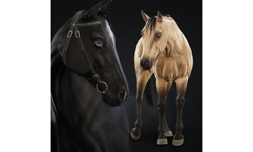 Horse Herd - Low poly animated game-ready Horse and  control rig Low-poly 3D model