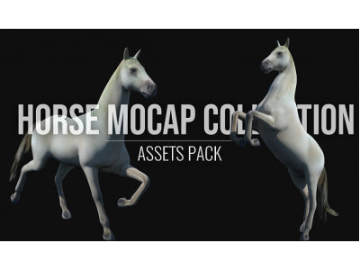 Horse Mocap Collection Low-poly 3D model