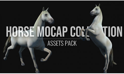 Horse Mocap Collection Low-poly 3D model