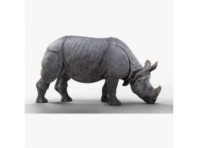 Indian Rhinoceros Animated  VFX Grace 3D model