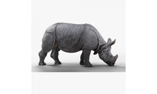 Indian Rhinoceros Animated  VFX Grace 3D model
