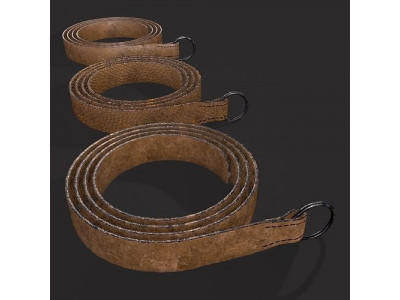 Iron Ring Belt  Low-poly 3D model