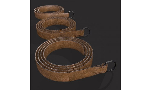 Iron Ring Belt  Low-poly 3D model