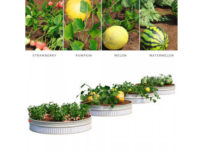Kitchen garden vol 2 3D model