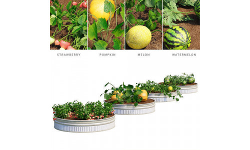 Kitchen garden vol 2 3D model