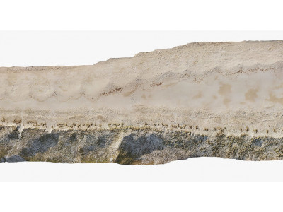 Large Sand Beach PRB Scan Low-poly 3D model