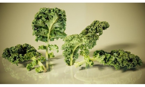 Lettuce Low-poly 3D model