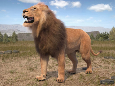 Lion The King hair and fur 3D model