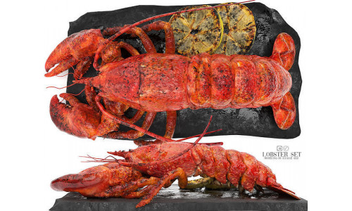 lobster set 3D model