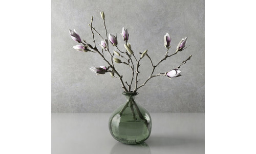 Magnolia in vase 3D model