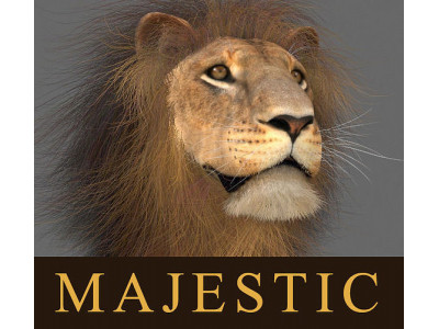 MAjestic Lion - 3d model 3D model
