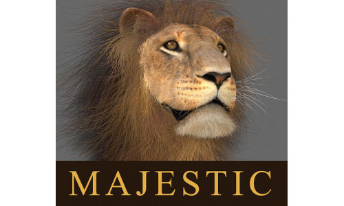 MAjestic Lion - 3d model 3D model