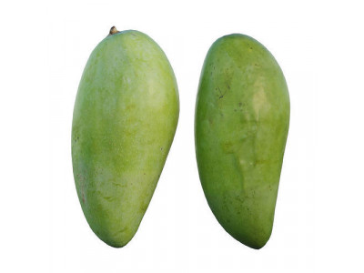mango 02 3D model