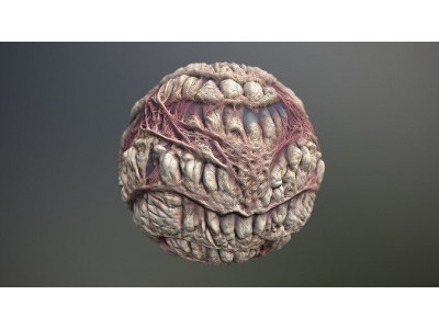 Material Skin Monster 55 Seamless PBR Texture Texture