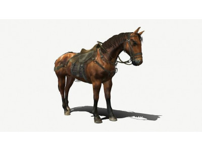 Medieval Horse Low-poly 3D model
