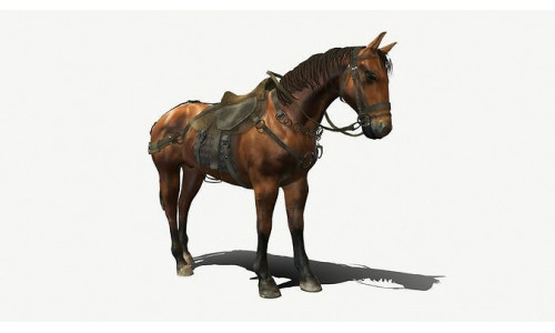 Medieval Horse Low-poly 3D model