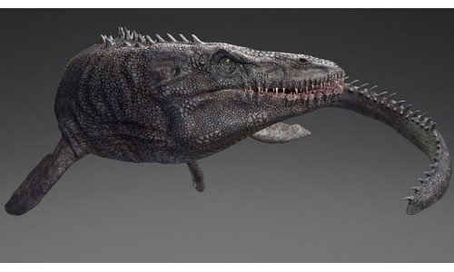 Mosasaurus - Sea Monster Series 4 Low-poly 3D model