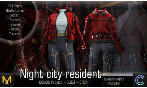 Night city resident 3D model