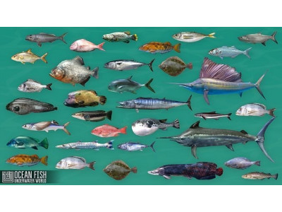 Ocean fish - underwater world Low-poly 3D model
