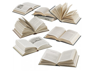 opened books collection 3D model