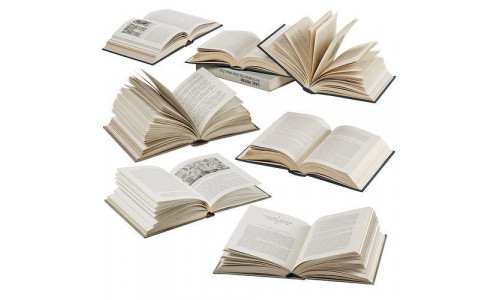 opened books collection 3D model