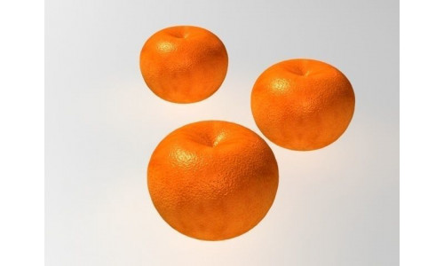 Orange 3D model