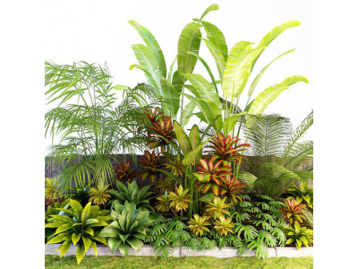 Palm composition 3D model