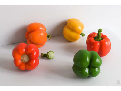 Paprika 009 3D model