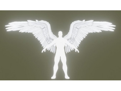 PBR Angel Wings rigged - blender armature Low-poly 3D model