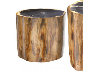 PETRIFIED WOOD SIDE TABLE 7233F 3D model