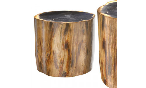 PETRIFIED WOOD SIDE TABLE 7233F 3D model