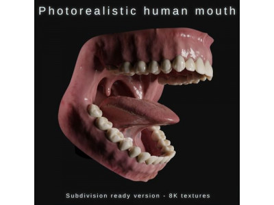 Photorealistic human mouth Low-poly 3D model