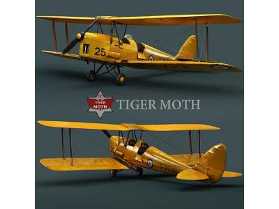 Plane 3D model 3D model