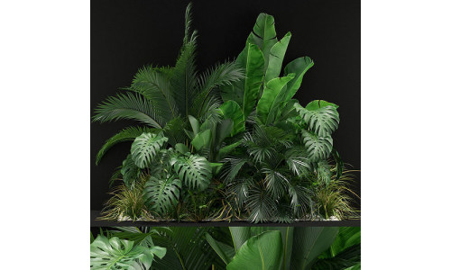 Plants collection 357 3D model