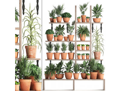 Plants collection Vertical gardening 27 3D model