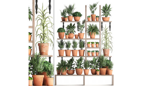 Plants collection Vertical gardening 27 3D model