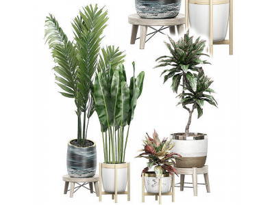 Potted plants Set 42 3D model