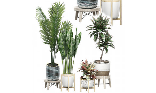 Potted plants Set 42 3D model
