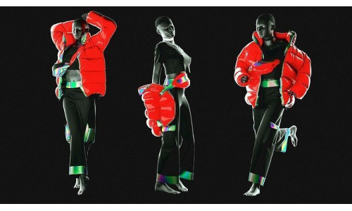 Puffer Jacket cargopants fannypack female tshirt Cloth Garment  3D model