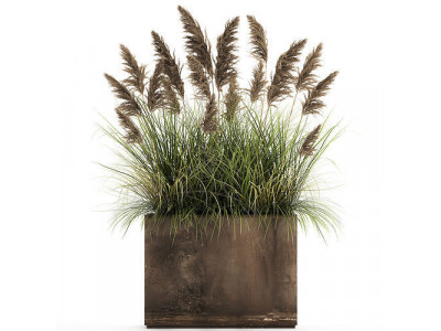 Reeds in a rusty flower pot for the interior 934 3D model