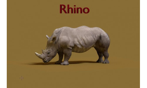rhino 3D model